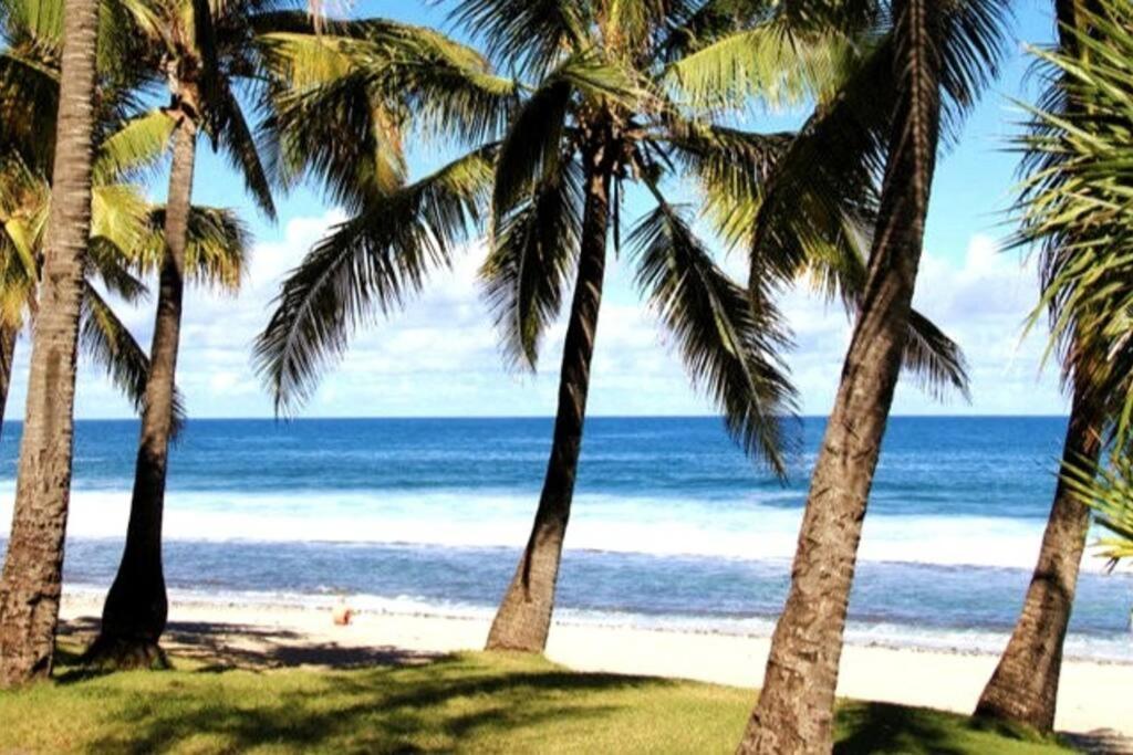 Maison De Vacances, Decouvrir Le Sud De La Reunion Petite Île Kültér fotó