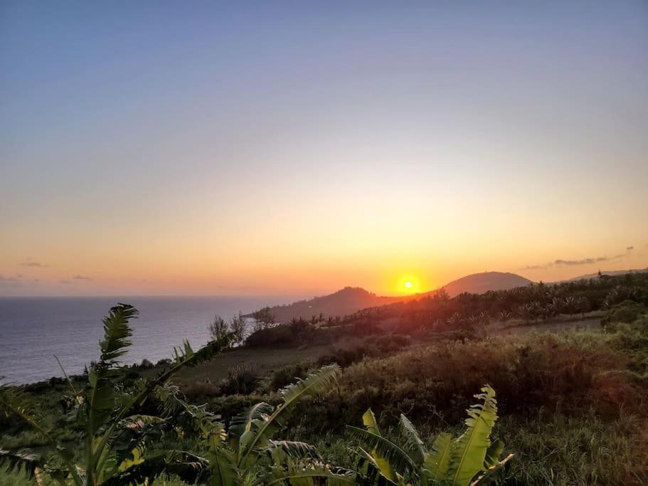 Maison De Vacances, Decouvrir Le Sud De La Reunion Petite Île Kültér fotó